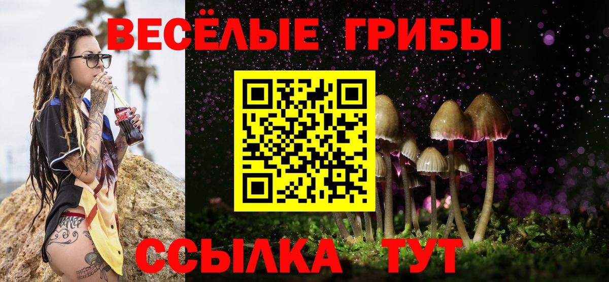 Нижнекамск  Псилоцибиновые грибы GOLDEN TEACHER  Вход с VPN 