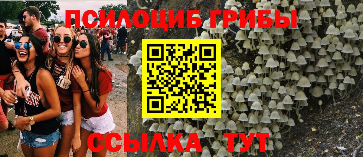 Псилоцибиновые грибы Psilocybe  Нижнекамск 